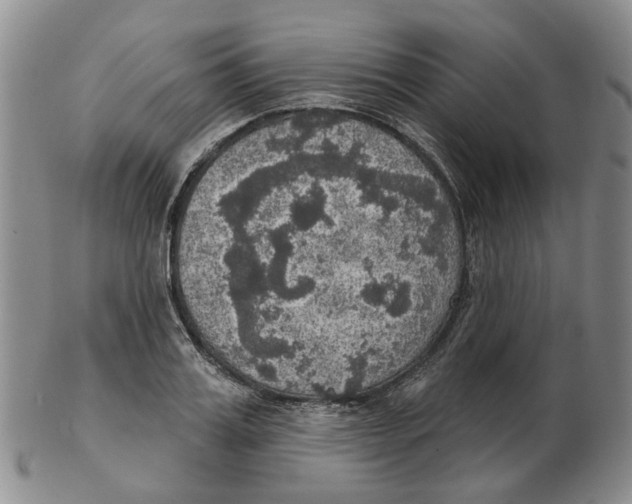 X0000102770987200809081001