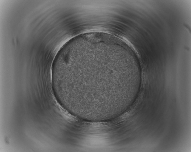 X0000102770988200809081001