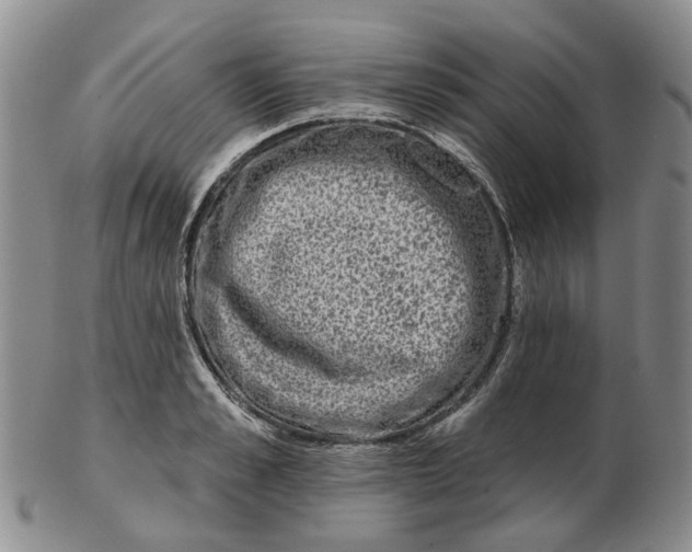 X0000102770989200809081001