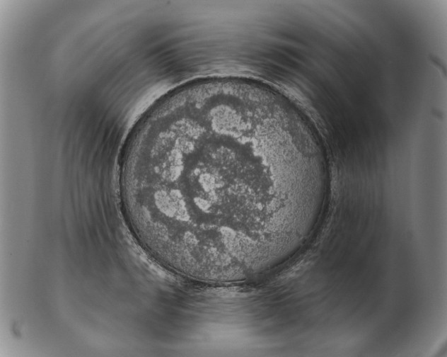 X0000102770990200809081001