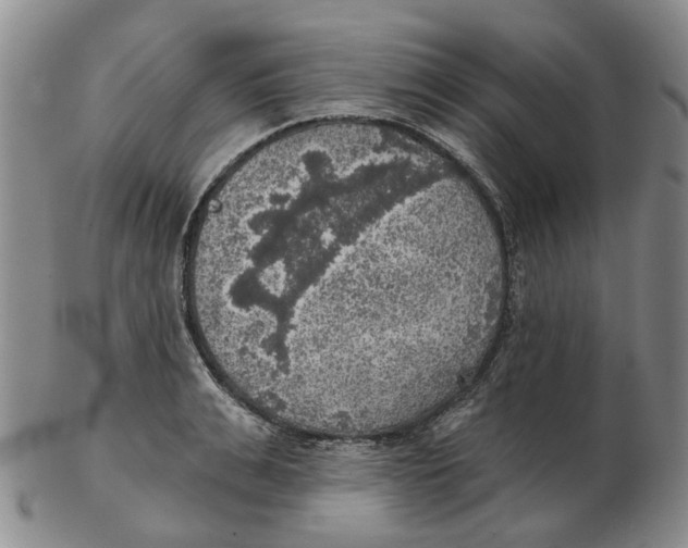 X0000102770991200809081001