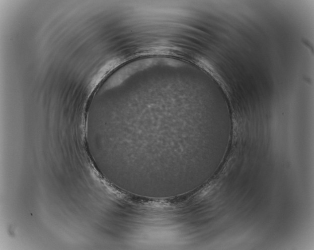 X0000102770994200809081000