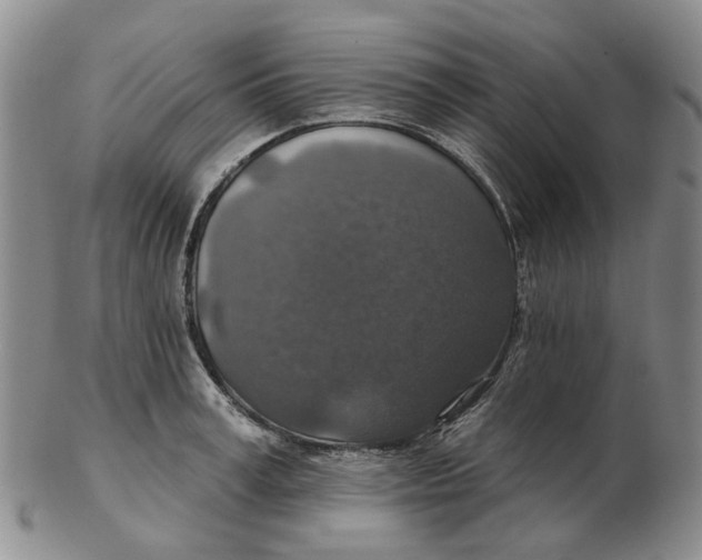 X0000102770995200809081000