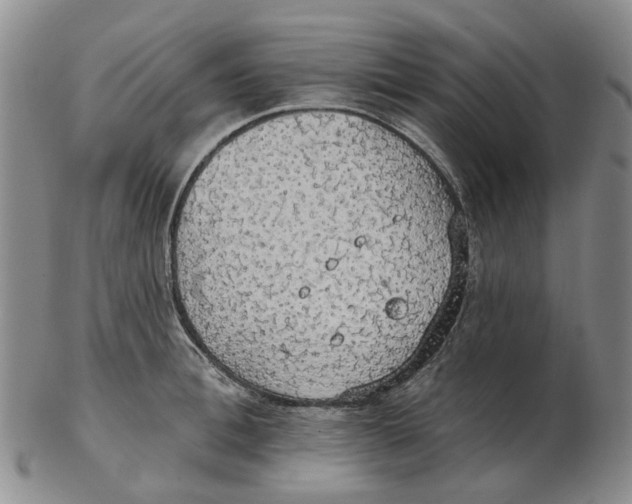 X0000102770996200809081000