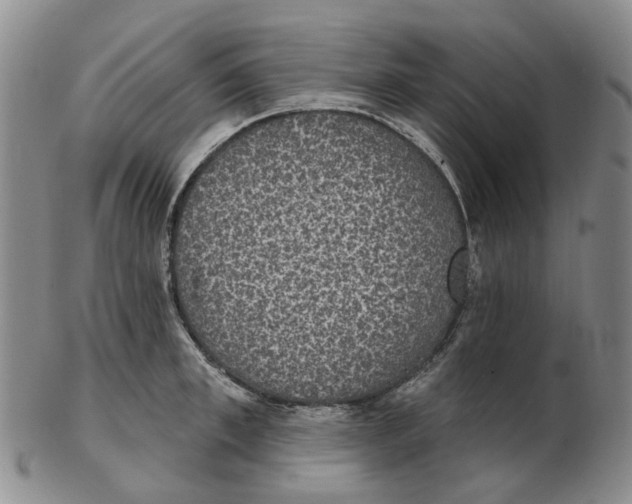 X0000102770997200809081000