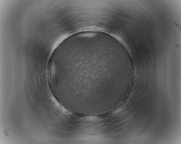 X0000102770998200809081000