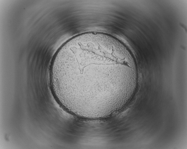 X0000102770999200809081000