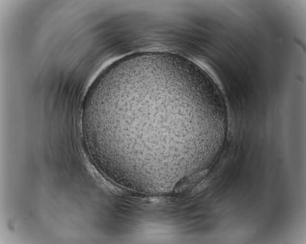 X0000102771000200809081000