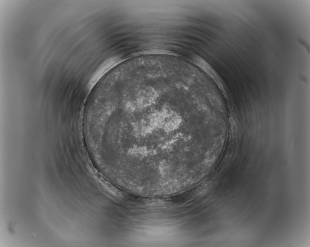 X0000102771002200809081000