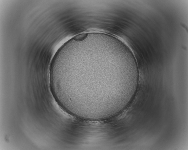 X0000102771003200809081000