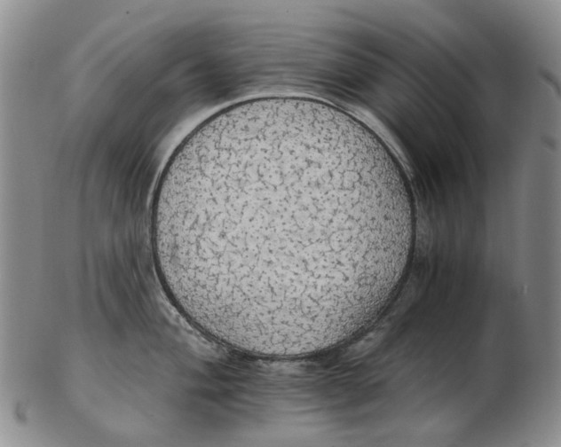 X0000102771004200809081000