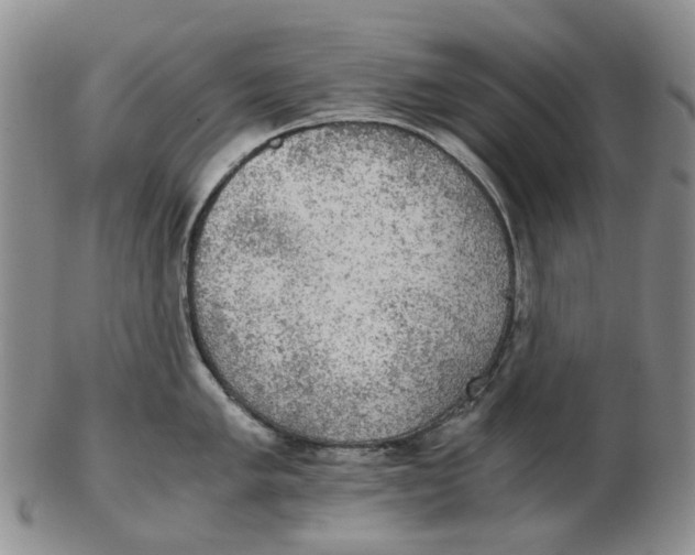 X0000102771005200809081000