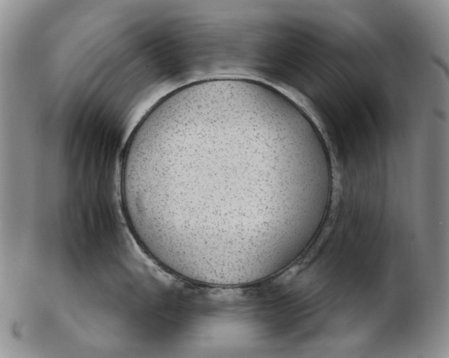 X0000102771006200809081000