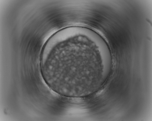 X0000102771007200809081000