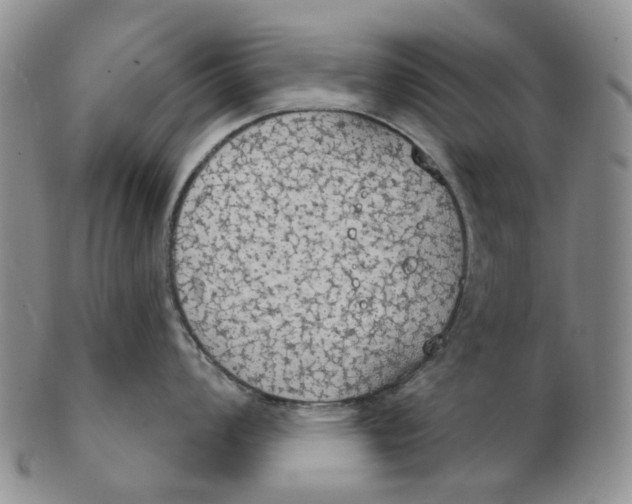 X0000102771008200809081000