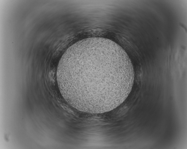 X0000102771010200809080959