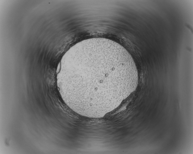 X0000102771012200809081000