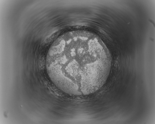 X0000102771014200809081000