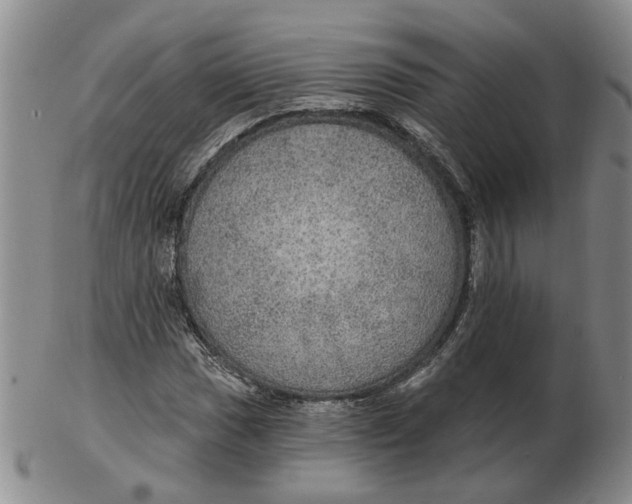 X0000102771017200809081000