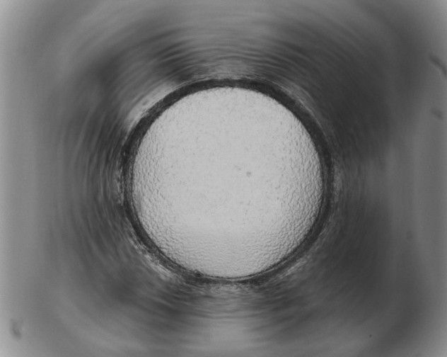 X0000102771018200809081000