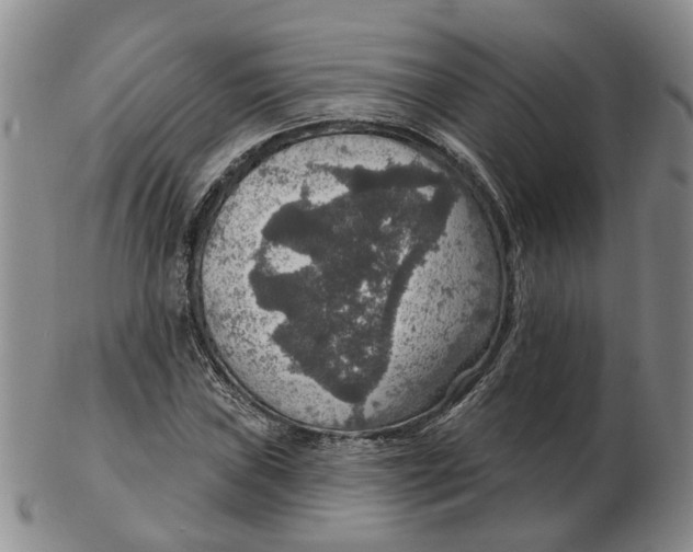 X0000102771019200809081000