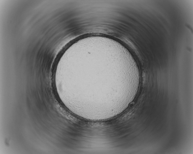 X0000102771020200809081000