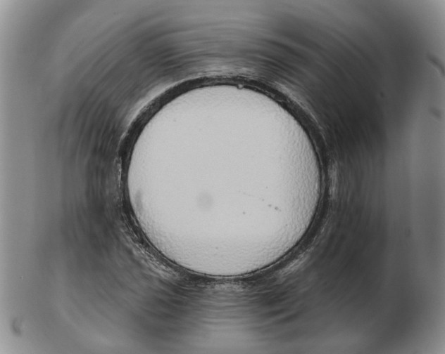 X0000102771021200809081000