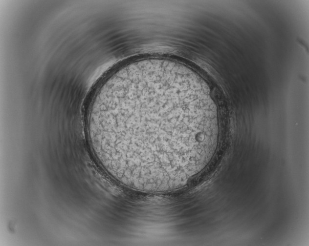 X0000102771022200809081000