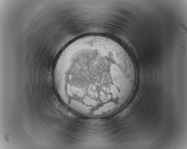 X0000102771025200809081000