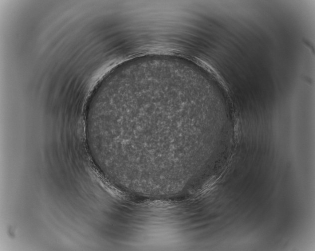 X0000102771027200809081000