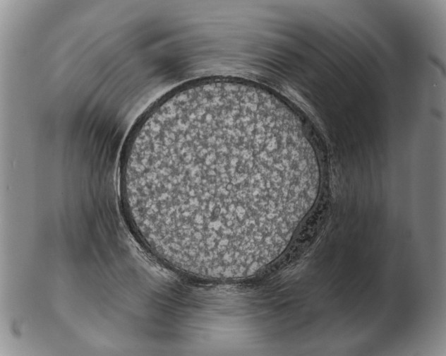 X0000102771028200809081000