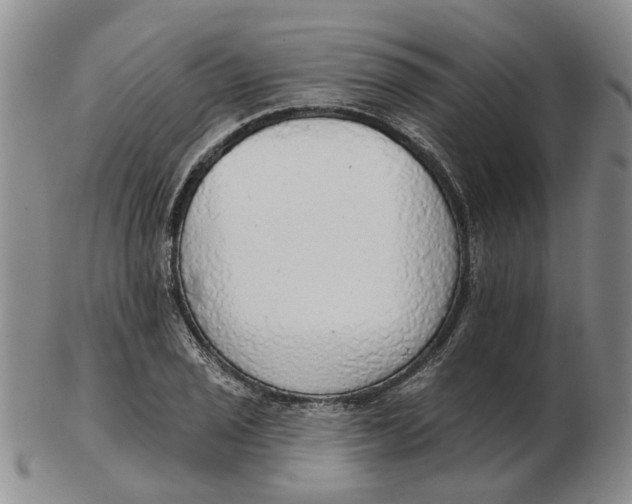 X0000102771029200809081000