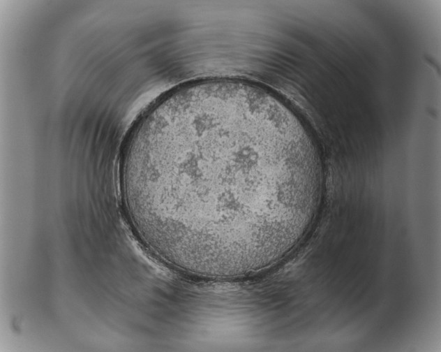 X0000102771030200809081000