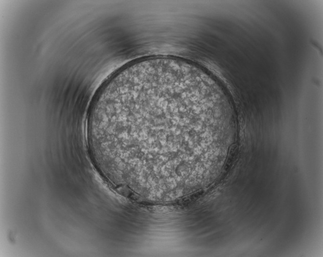 X0000102771032200809081000