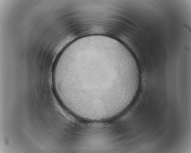 X0000102771034200809081000