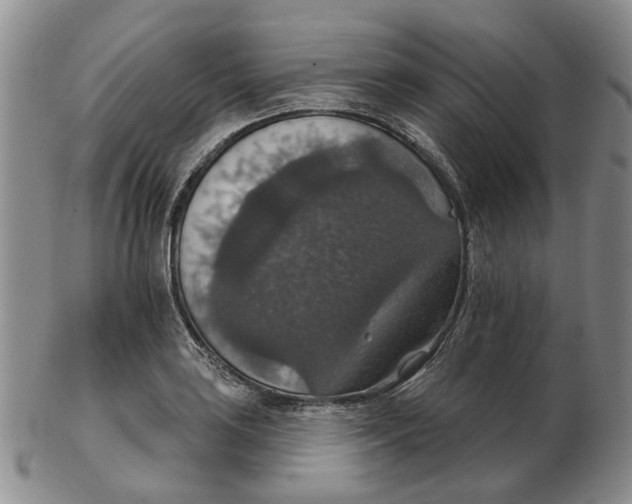 X0000102771035200809081000