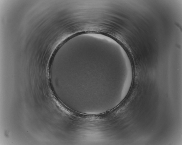 X0000102771037200809081000