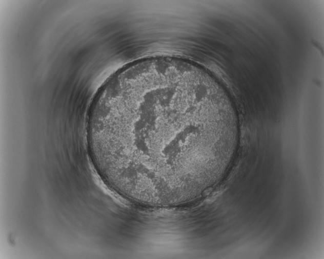 X0000102771038200809081000