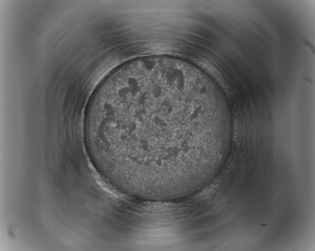 X0000102771039200809081000