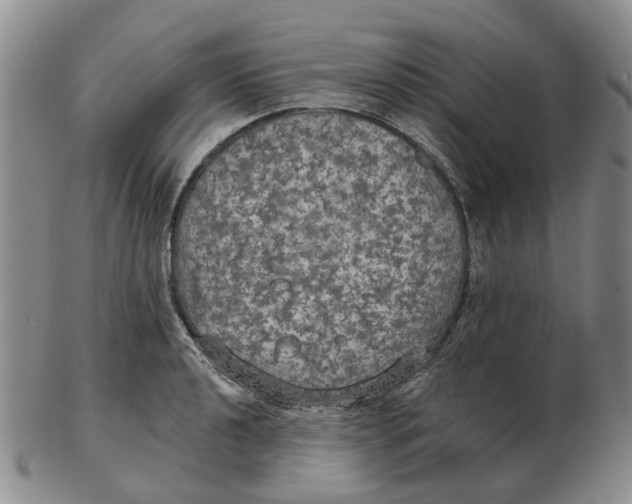 X0000102771040200809081000