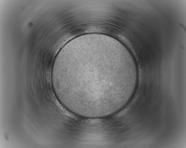 X0000102771041200809081000