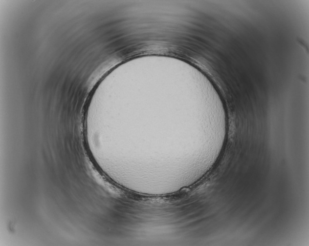 X0000102771042200809081000