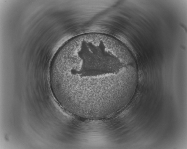 X0000102771043200809081000