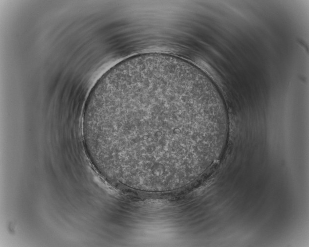 X0000102771044200809081000