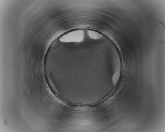 X0000102771045200809081000