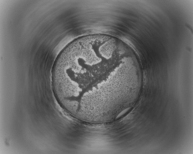 X0000102771047200809081000