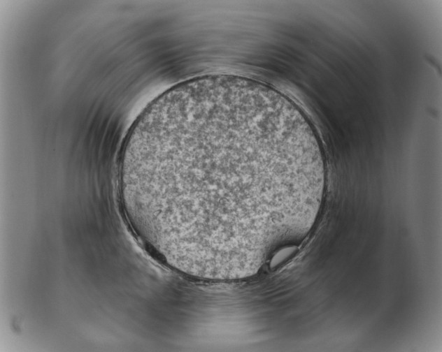 X0000102771048200809081000