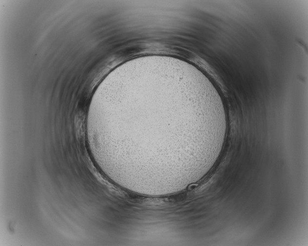 X0000102771049200809081000