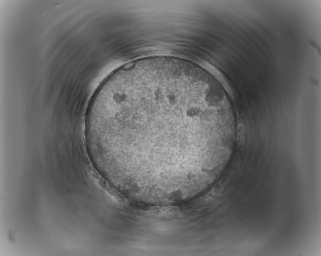 X0000102771051200809081000