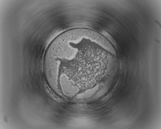 X0000102771052200809081000